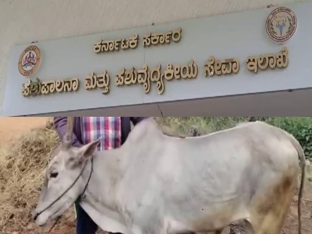 suvidhamarga